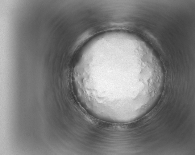 X0000080131411200612302024