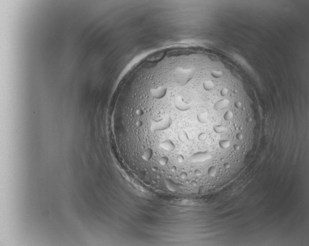 X0000080131412200612302024