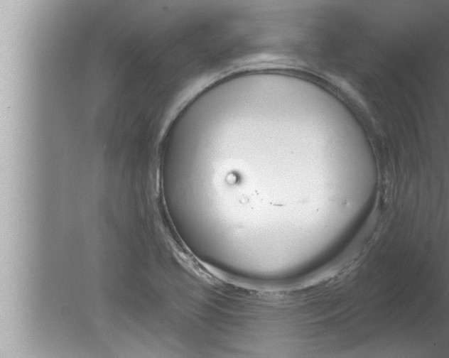 X0000080131413200612302024