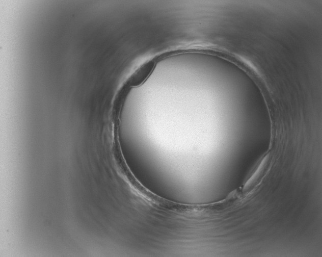 X0000080131414200612302024