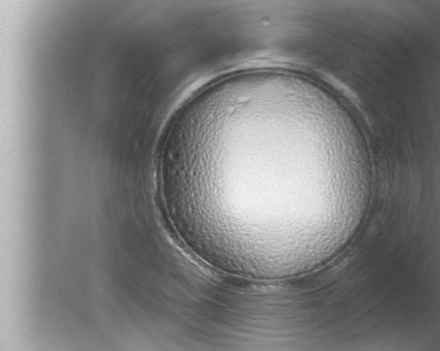 X0000080131415200612302024