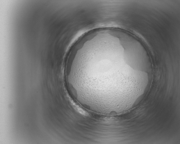 X0000080131416200612302024