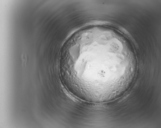 X0000080131417200612302024