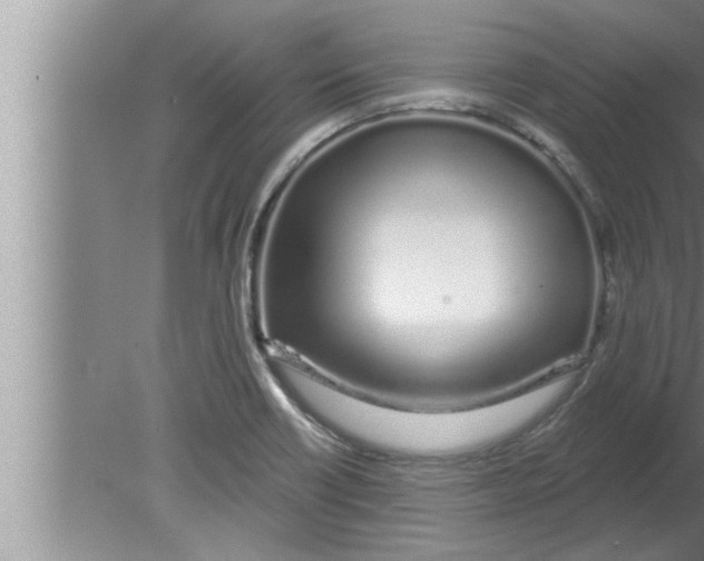 X0000080131418200612302024