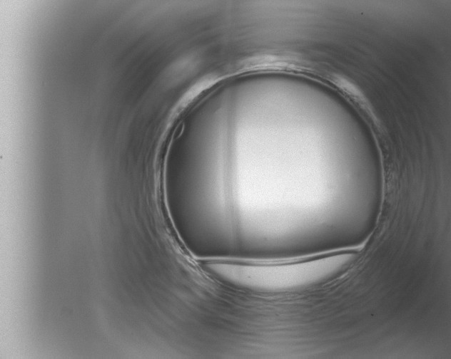 X0000080131419200612302024