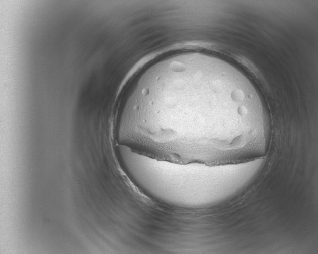 X0000080131420200612302024