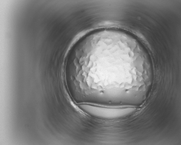 X0000080131421200612302024