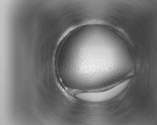 X0000080131422200612302024