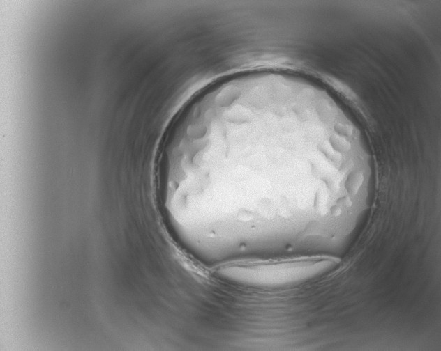 X0000080131423200612302024