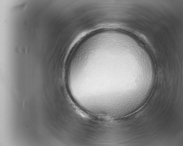 X0000080131424200612302024