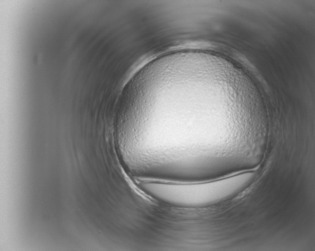 X0000080131425200612302024