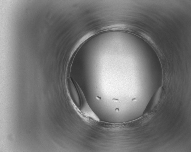 X0000080131426200612302024