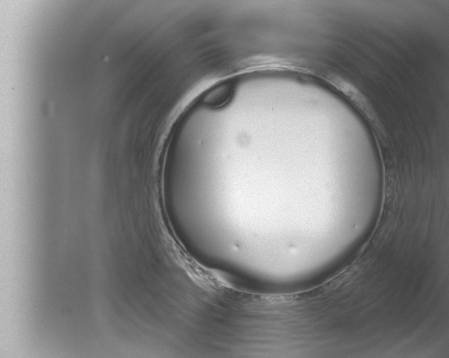 X0000080131427200612302024