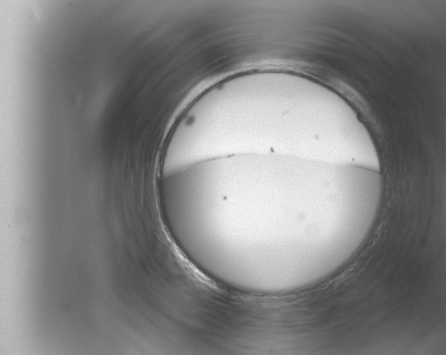 X0000080131428200612302024