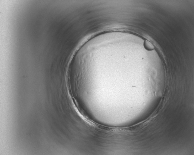 X0000080131429200612302024