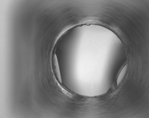 X0000080131430200612302024