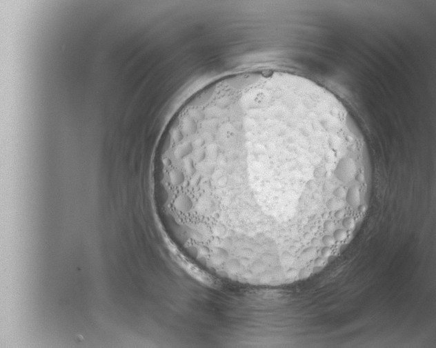 X0000080131431200612302024