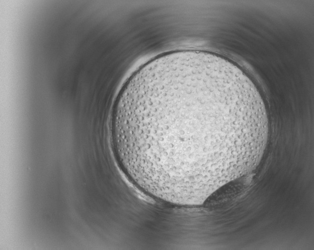 X0000080131432200612302024