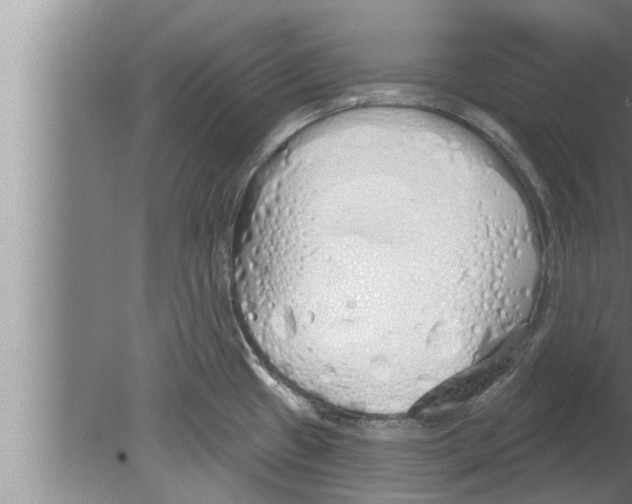 X0000080131433200612302024