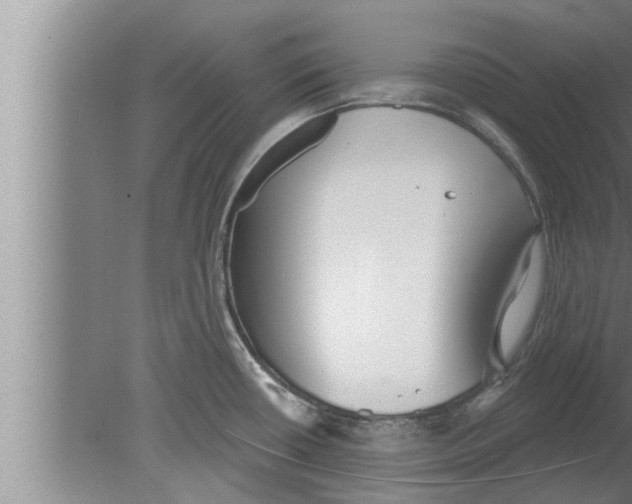 X0000080131434200612302024