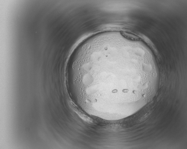 X0000080131435200612302024