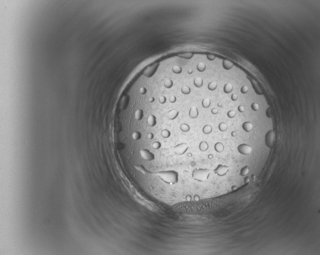 X0000080131436200612302024