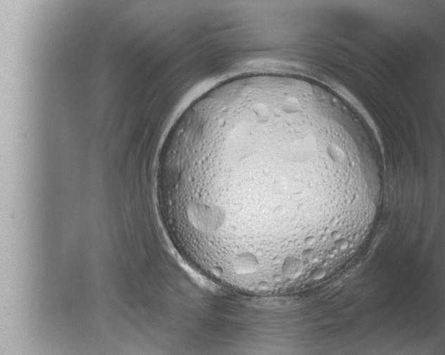 X0000080131437200612302024