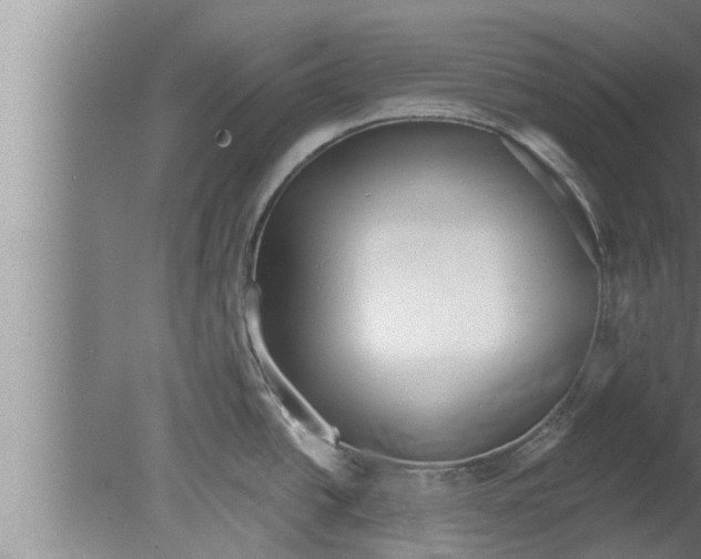 X0000080131438200612302025