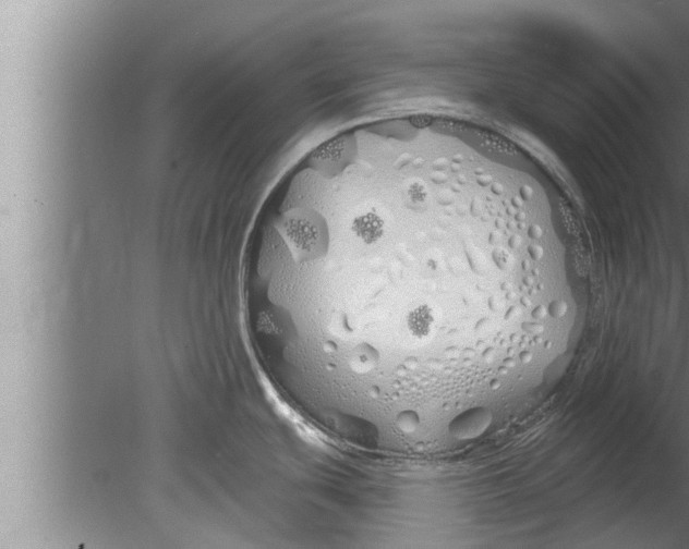 X0000080131439200612302025