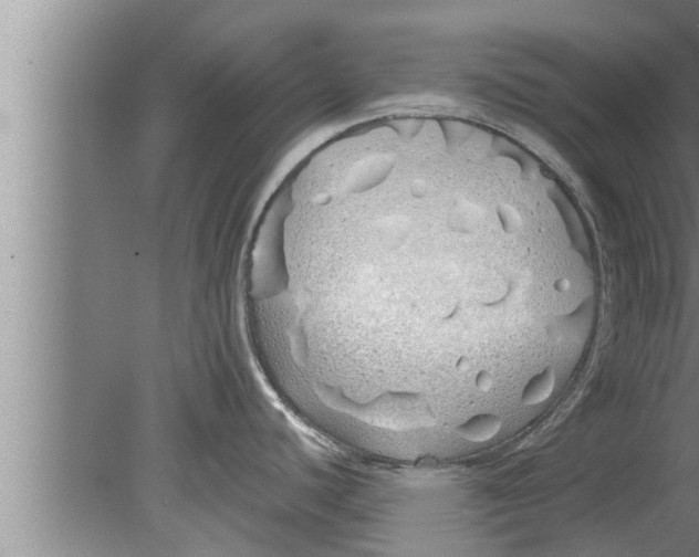 X0000080131440200612302025