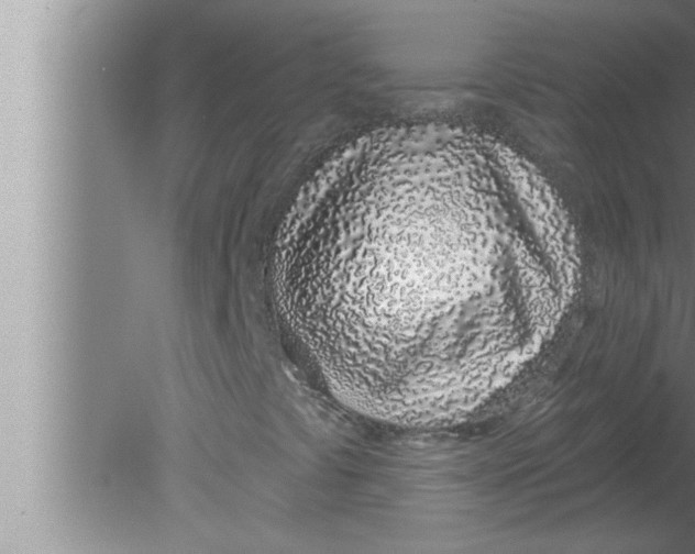 X0000080131441200612302024