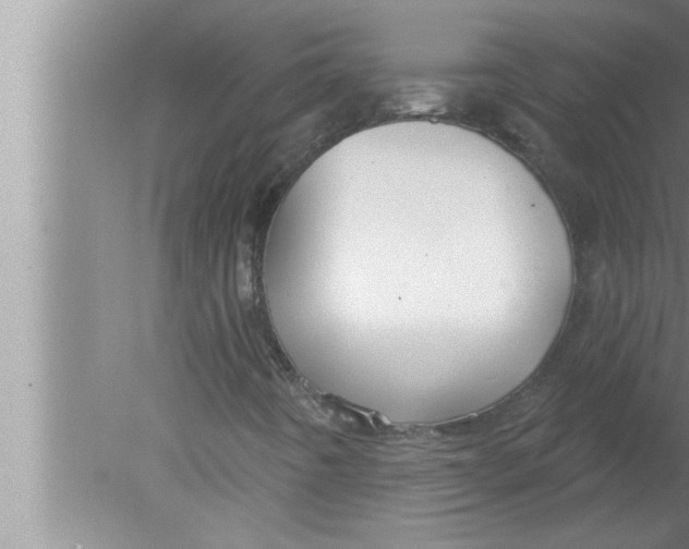 X0000080131442200612302024