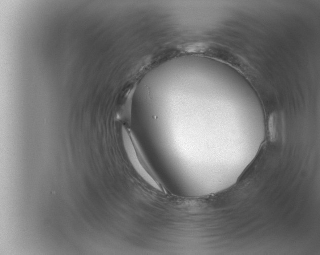 X0000080131443200612302024