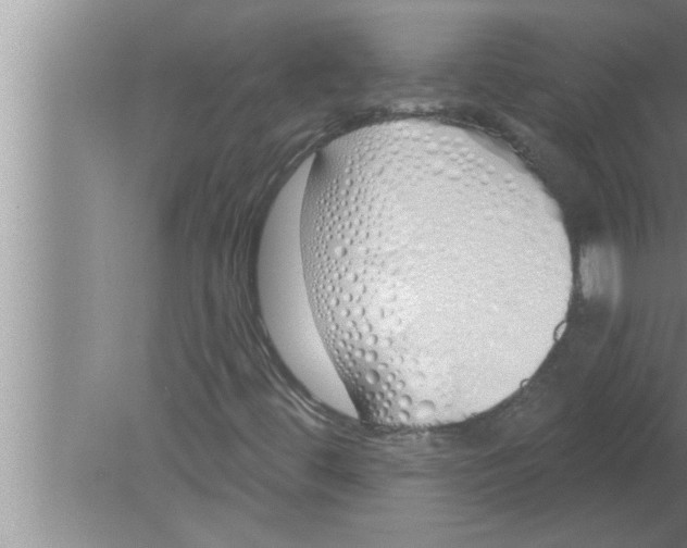 X0000080131444200612302024