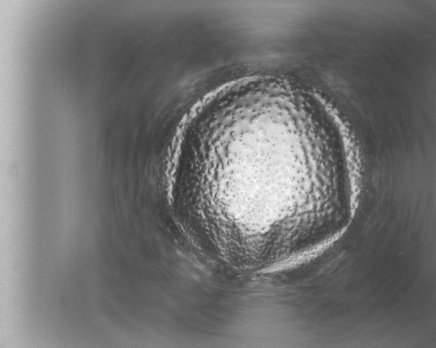 X0000080131445200612302024