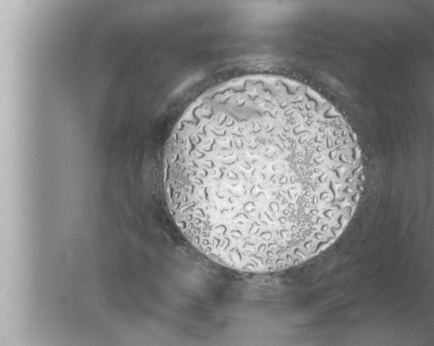 X0000080131446200612302024