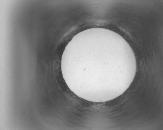 X0000080131447200612302024