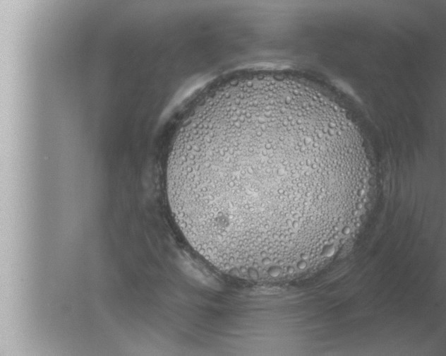 X0000080131448200612302024