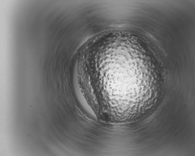 X0000080131449200612302024