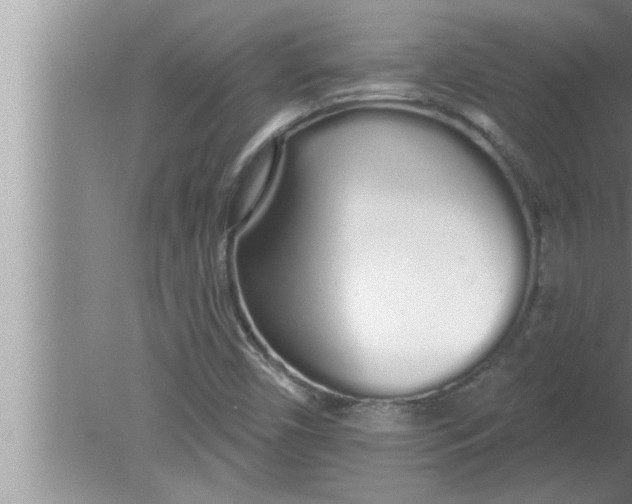 X0000080131450200612302024