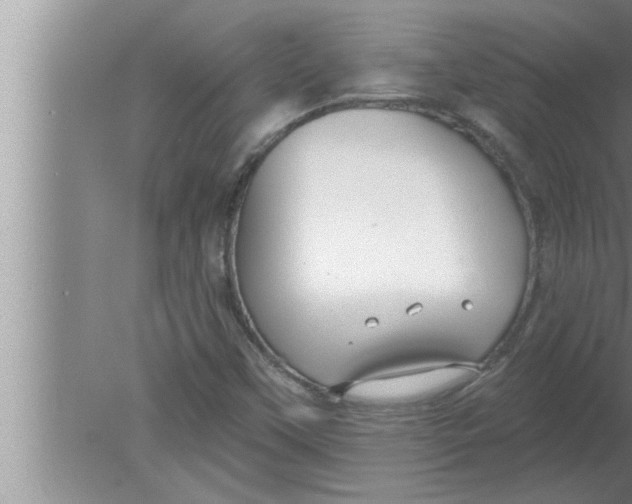 X0000080131451200612302024