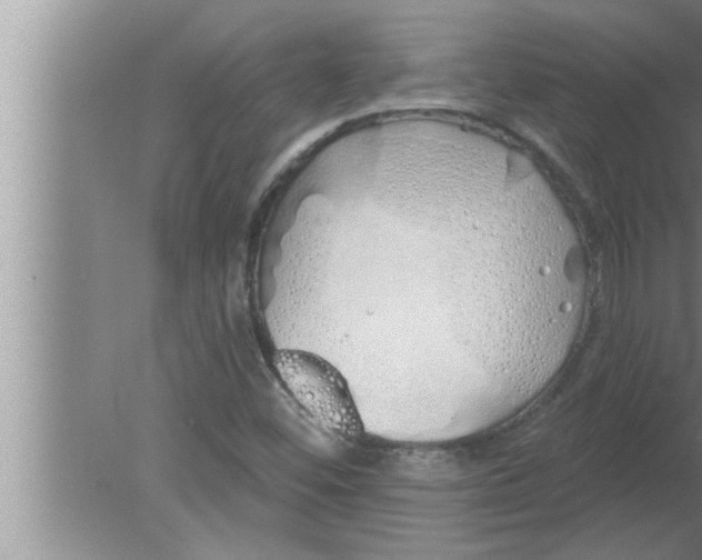 X0000080131452200612302024