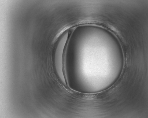 X0000080131453200612302024