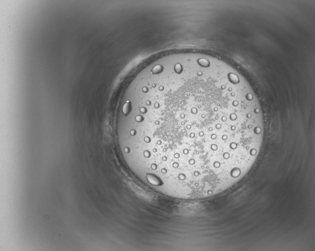 X0000080131454200612302024