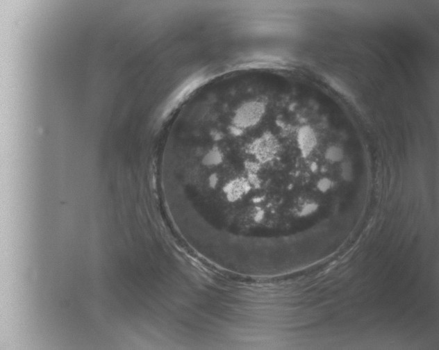 X0000080131455200612302024