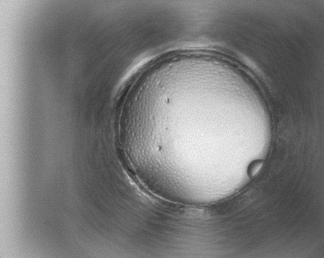 X0000080131456200612302023