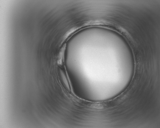 X0000080131457200612302023