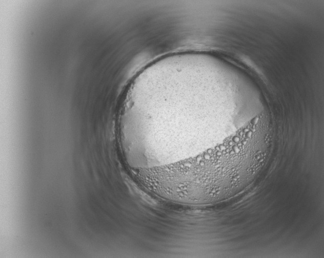 X0000080131459200612302023