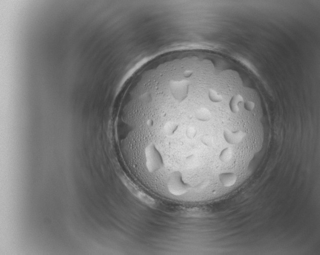 X0000080131460200612302023