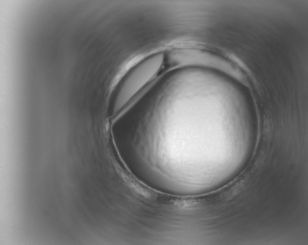 X0000080131461200612302023